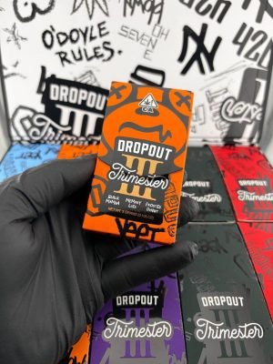 dropout academy trimester 3g