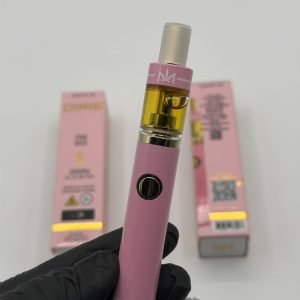 dime disposable